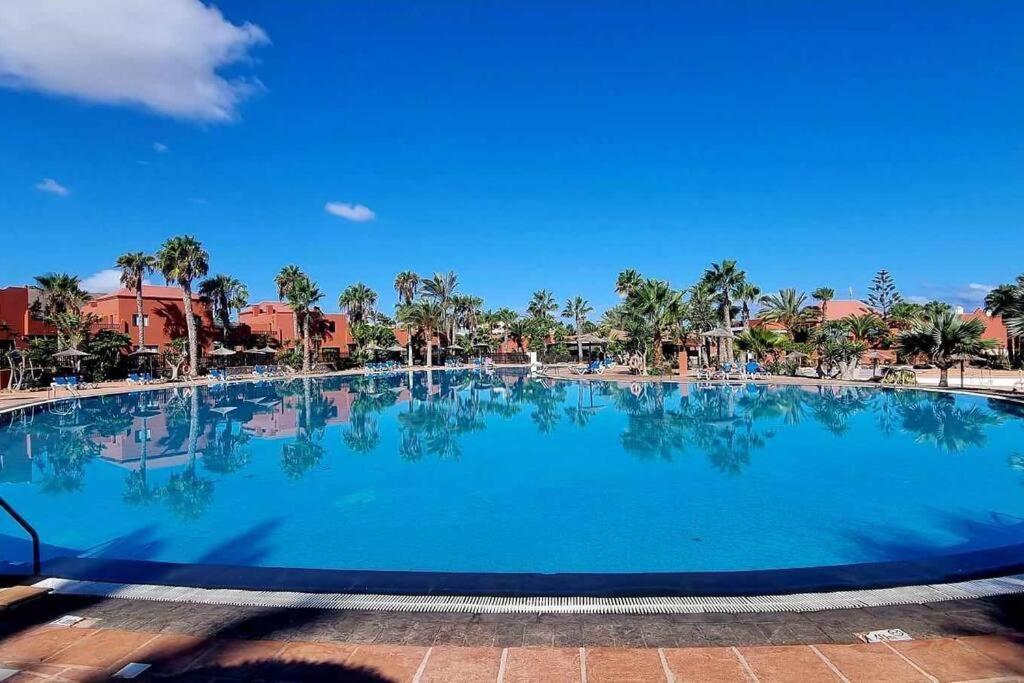Appartamento Bouganville Con Terrazza E Piscina 코라레호 외부 사진