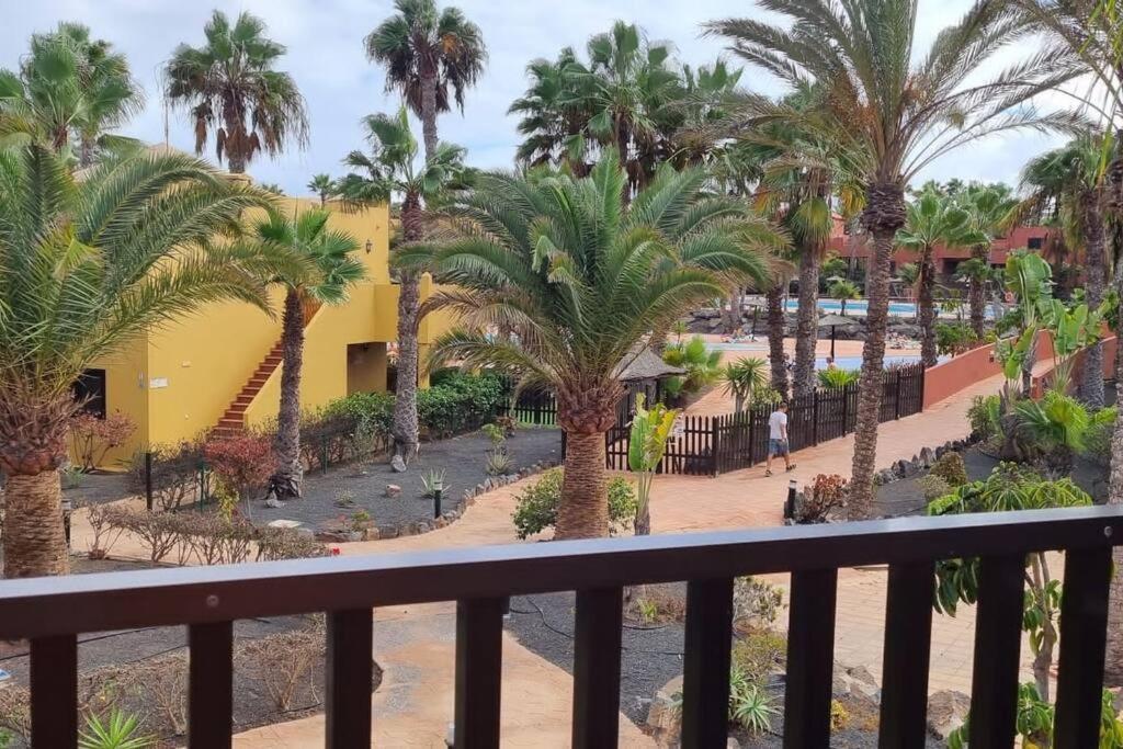 Appartamento Bouganville Con Terrazza E Piscina 코라레호 외부 사진