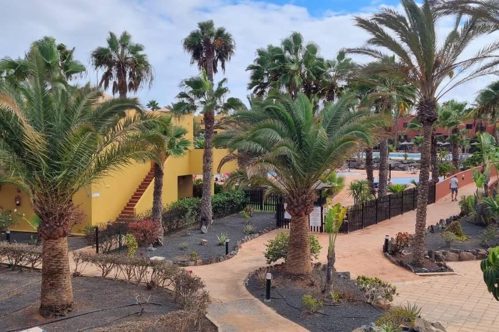Appartamento Bouganville Con Terrazza E Piscina 코라레호 외부 사진