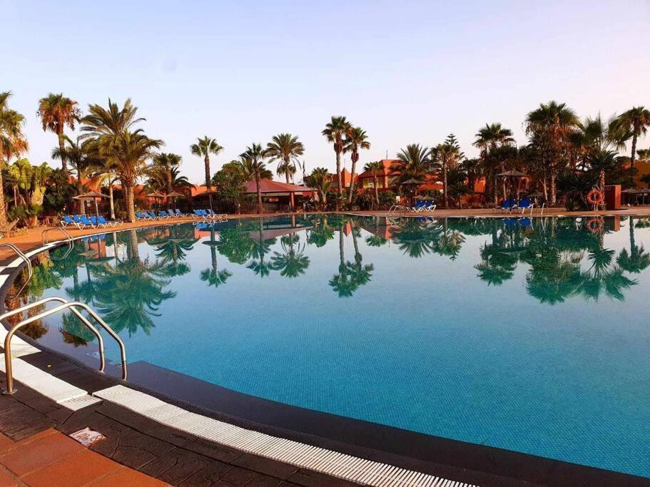 Appartamento Bouganville Con Terrazza E Piscina 코라레호 외부 사진