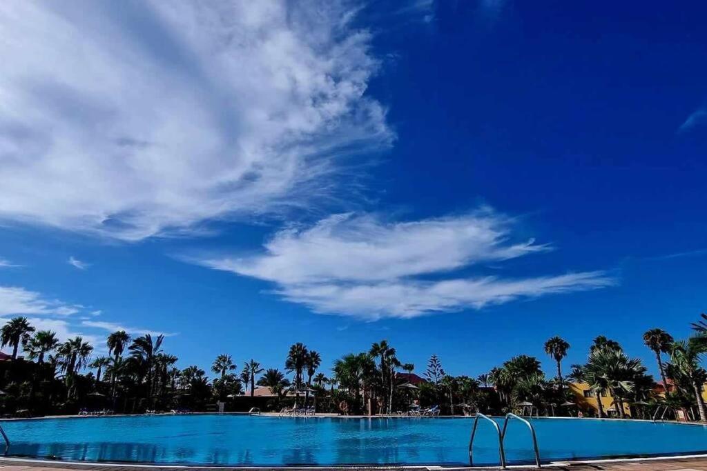 Appartamento Bouganville Con Terrazza E Piscina 코라레호 외부 사진